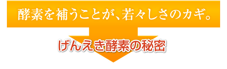 酵素を補うことが、若々しさのカギ。